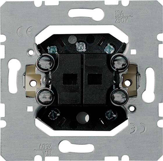 Ein eingebauter Doppellichtschalter ohne Abdeckung, geeignet für 10A und 250V. Schraubklemmen am oberen und unteren Rand sichtbar.