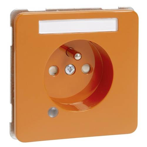 PEHA by Honeywell Einsatz Steckdose Orange 482441 1 St.