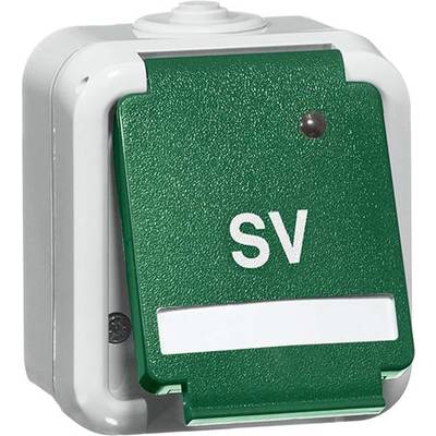 Ein grüner Schutzschalter mit den weißen Buchstaben 'SV' auf der Vorderseite. Der Schalter ist in einem grauen Gehäuse montiert.