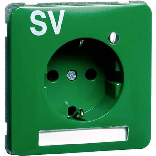 PEHA by Honeywell 1fach Einsatz Steckdose Grün 785111 1 St.