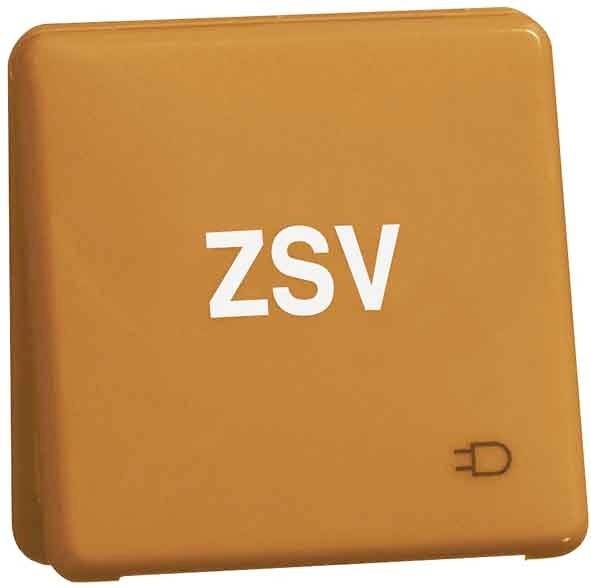 Orangefarbener Kasten mit weißer Aufschrift 'ZSV' und einem kleinen Stecker-Symbol unten rechts.