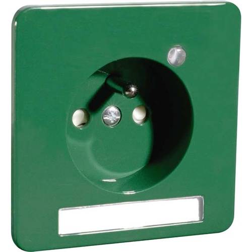 PEHA by Honeywell Komplett Steckdose Grün 483641 1 St.