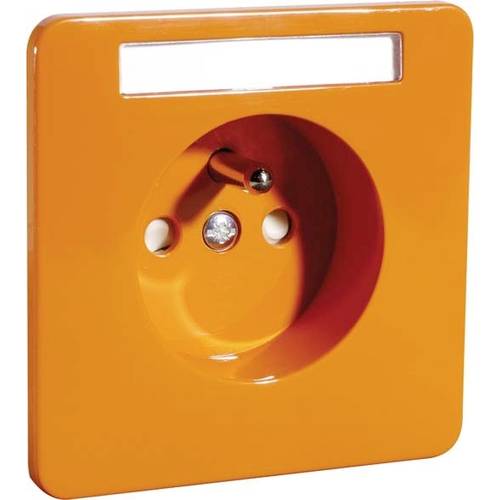 PEHA by Honeywell Komplett Steckdose Orange 411241 1 St.