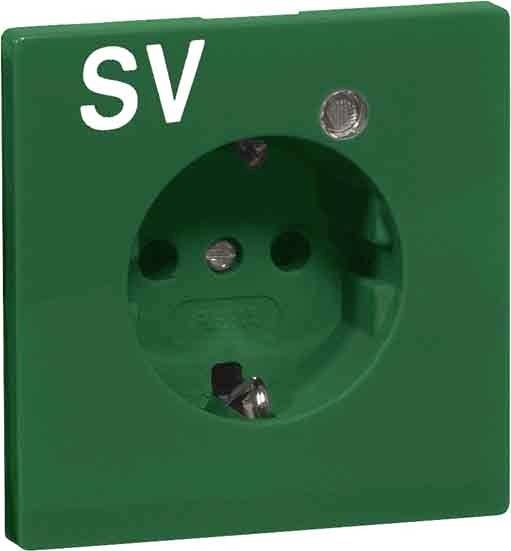 Grüne Steckdose mit der Aufschrift 'SV', ohne Stecker.