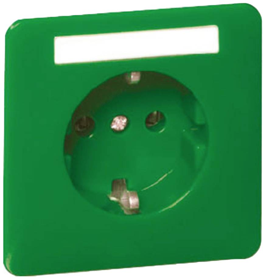 Grüne Steckdose mit weißem Rahmen oben, EU-Standard, ohne Stecker.