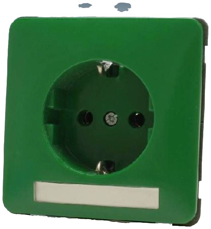 PEHA by Honeywell 1fach Komplett Steckdose Grün 567921 1 St.