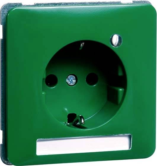 PEHA by Honeywell 1fach Einsatz Steckdose Grün 786661 1 St.