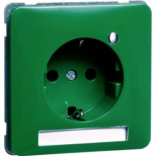 PEHA by Honeywell 1fach Einsatz Steckdose Grün 786661 1 St.