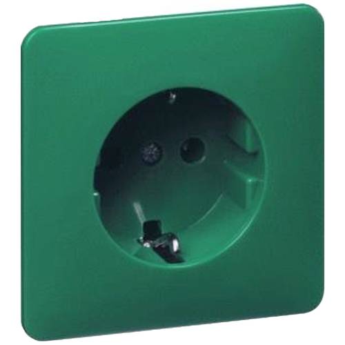 PEHA by Honeywell 1fach Komplett Steckdose Grün 791351 1 St.