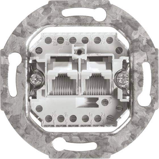 Netzwerkdose mit zwei RJ45-Anschlüssen zur Wandmontage. Silbernes Metallgehäuse umgibt die Anschlüsse für Ethernet-Kabelverbindungen.