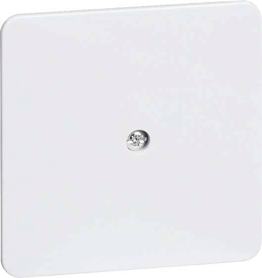 Eine weiße Abdeckplatte mit einer zentralen Schraube, verwendet zum Abdecken von Steckdosen oder Schaltern.