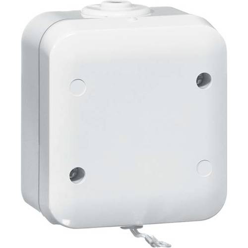 PEHA by Honeywell Komplett Zugschalter Grau 387621 1 St.