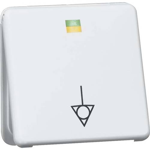 PEHA by Honeywell 2fach Komplett Potenzial-Ausgleichsstecker-Dose Weiß 367021 1 St.