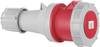 ABL Sursum K53S35 K53S35 CEE Kupplung 63 A 5polig 400 V 2 St.