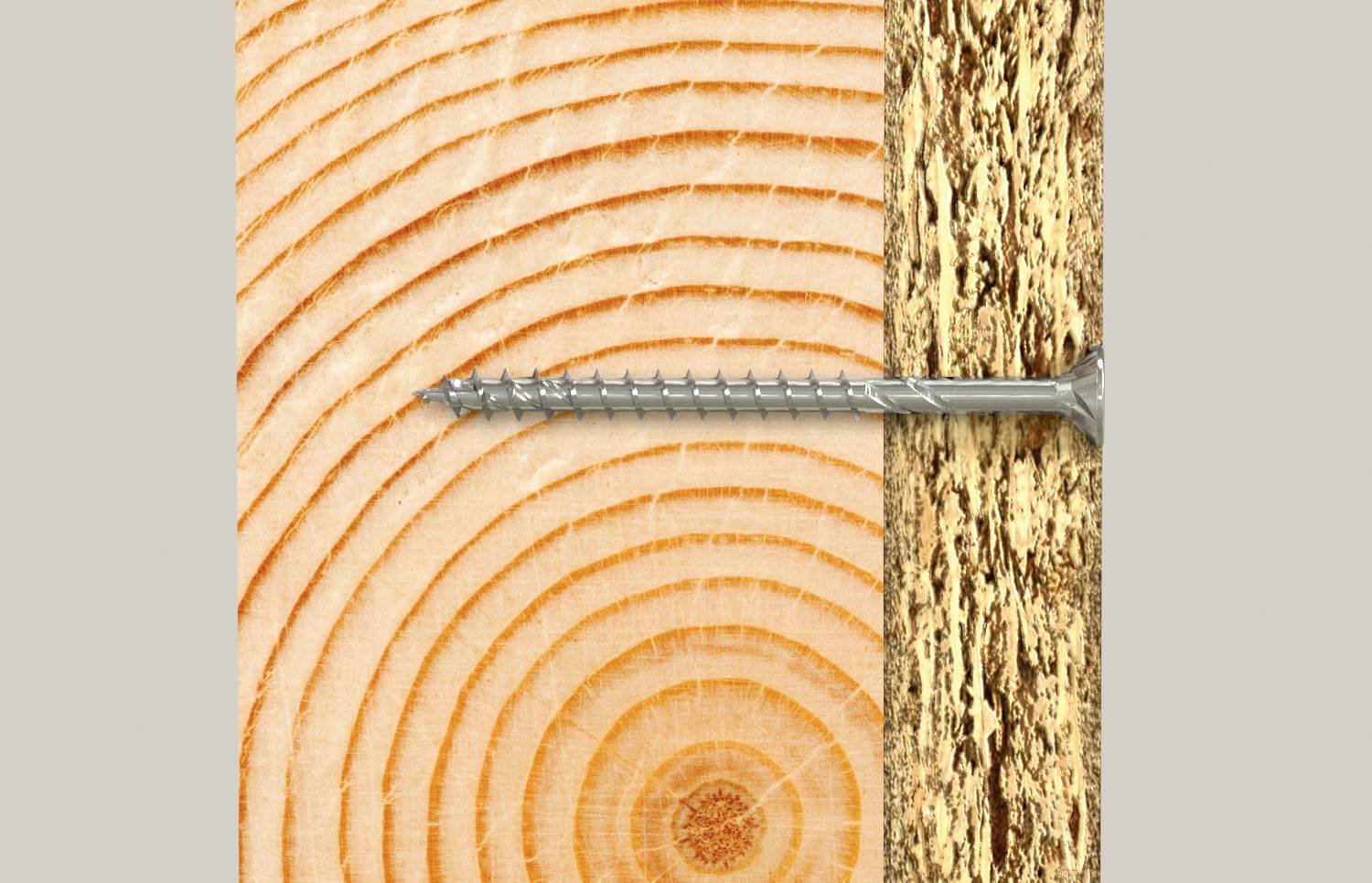 Ein Holzbrett von der Seite, in das eine Schraube eingedreht wird, zeigt Jahresringe und die Struktur des Holzes.