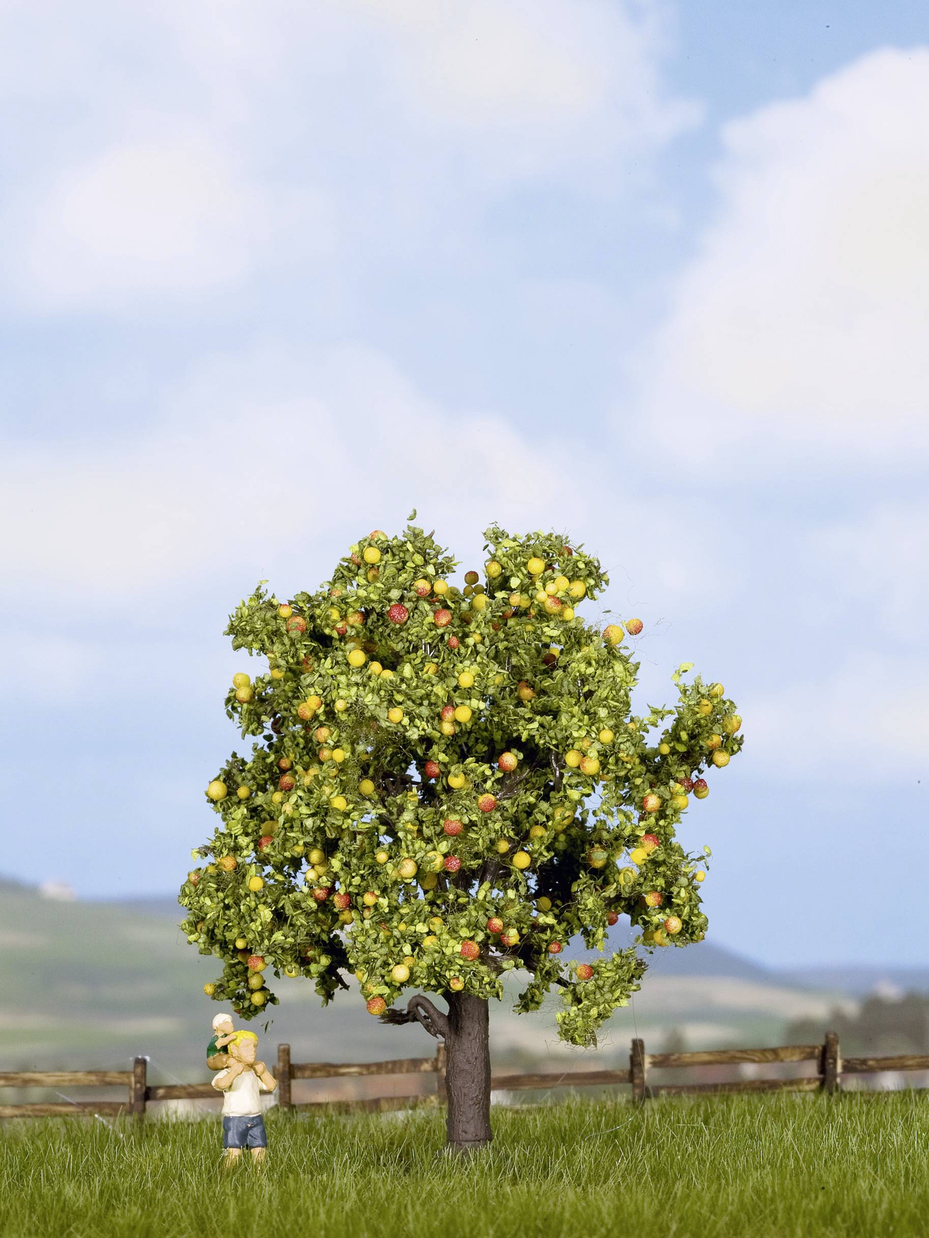 Ein kleiner Junge steht unter einem großen Obstbaum, der voller reifer Früchte ist. Im Hintergrund sind blauer Himmel und ein Zaun zu sehen.