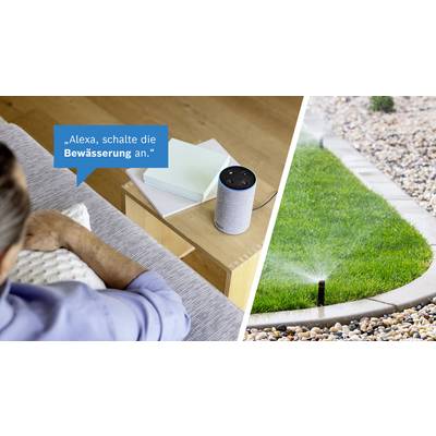 Eine Person sagt: 'Alexa, schalte die Bewässerung an.' Ein digitales Gerät aktiviert Rasensprinkler im Garten.