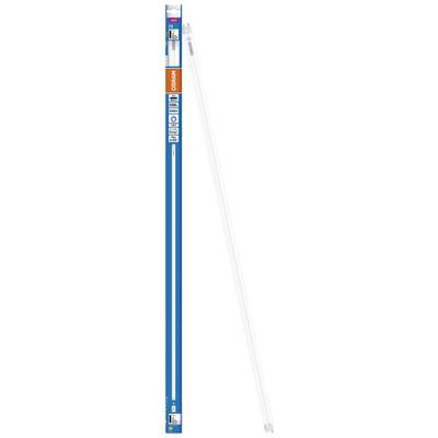 Leuchtstoffröhre in langer, schmaler blauer Verpackung mit 'Osram'-Aufschrift und Leistungsdaten.