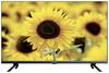 Strong D555 SRT 32HD5553 LED-TV 80 cm 32 Zoll EEK F (A - G) Schwarz