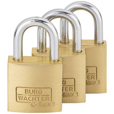 Drei goldene Vorhängeschlösser aus Messing, jedes mit der Aufschrift 'Burg Wächter c-line'. Sie sind nebeneinander angeordnet.