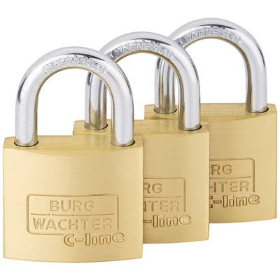 Drei goldene Vorhängeschlösser in Reihe, mit der Aufschrift 'BURG WÄCHTER C-line'. Starke Sicherheitsmetapher.
