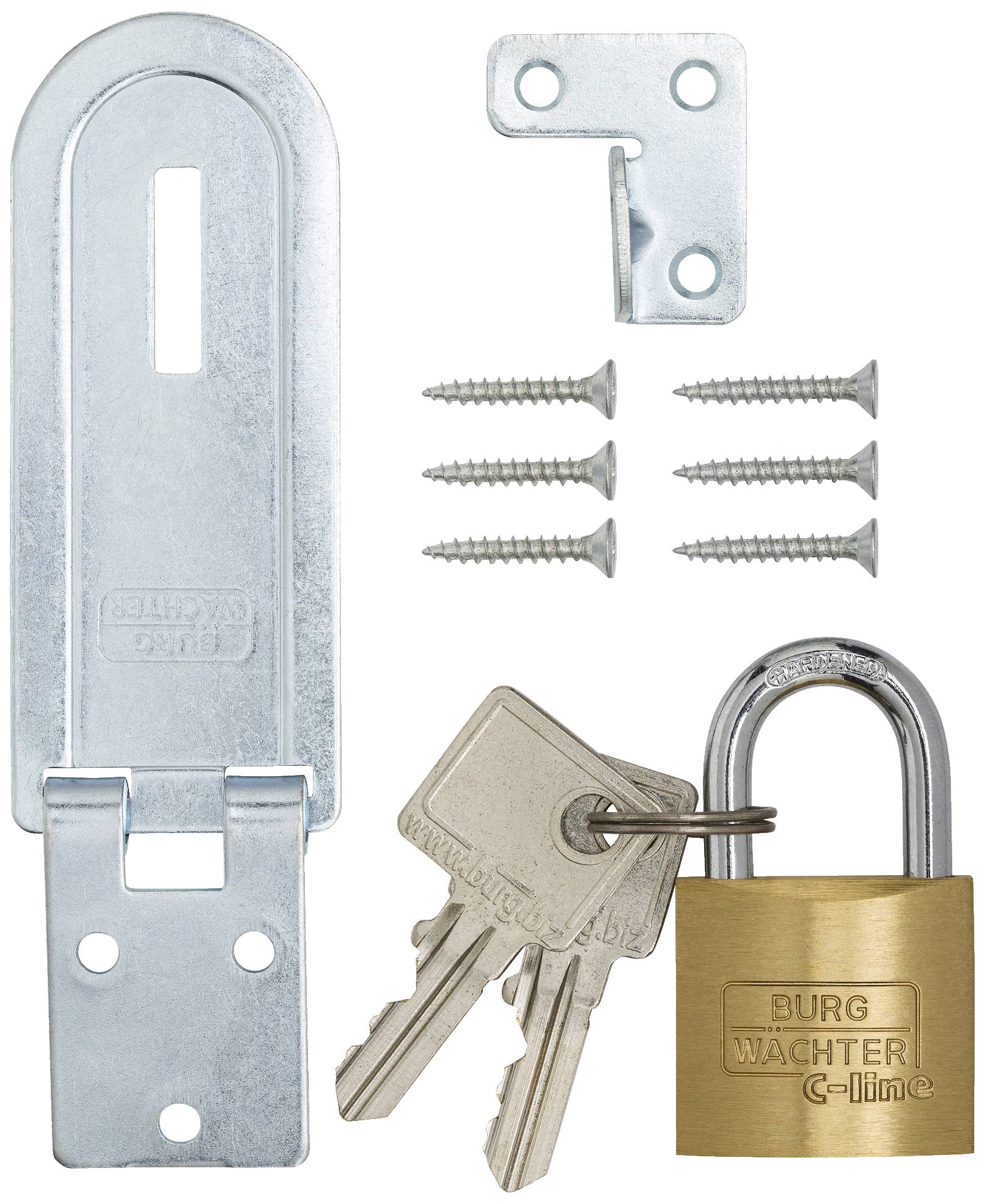 Schloss mit Vorhängeschloss, zwei Schlüsseln, einer Metallklinke und sechs Schrauben. Geeignet zur Sicherung von Türen oder Schranktüren.