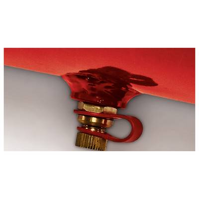 Nahaufnahme eines roten Feuerlöschers mit Sicherheitssiegel und Splint, die den Manipulationsring und die Ventilbaugruppe zeigt.