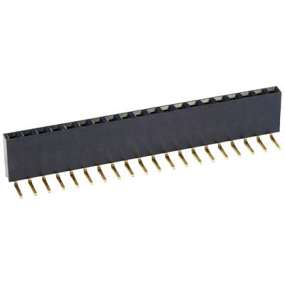 Ein 20-poliger Stecker mit schwarzen Gehäuse und vergoldeten Kontakten, oft in Elektronikprojekten zur Verbindung von Modulen genutzt.