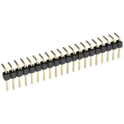 Eine 20-polige Stiftleiste mit goldfarbenen Kontakten und schwarzer Kunststoffbasis, oft verwendet für elektronische Steckverbindungen.