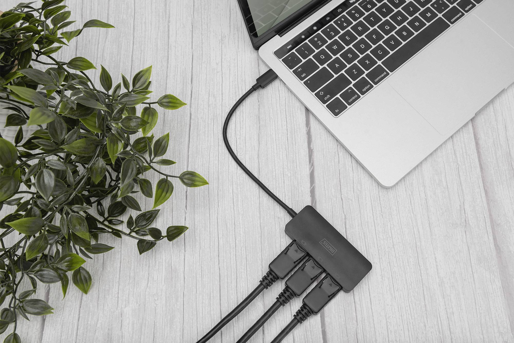 Ein Laptop ist über einen USB-Hub mit mehreren Kabeln verbunden, neben einer Pflanze auf einem Holztisch.