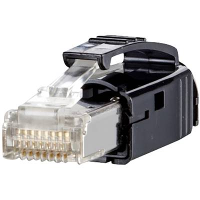 Ein RJ45-Netzwerkstecker mit werkzeugloser Installation, schwarzes Gehäuse und transparenter Abdeckung.
