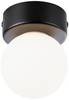Paulmann 71068 Gove Deckenleuchte Stiftsockel G9 Schwarz (matt), Satin