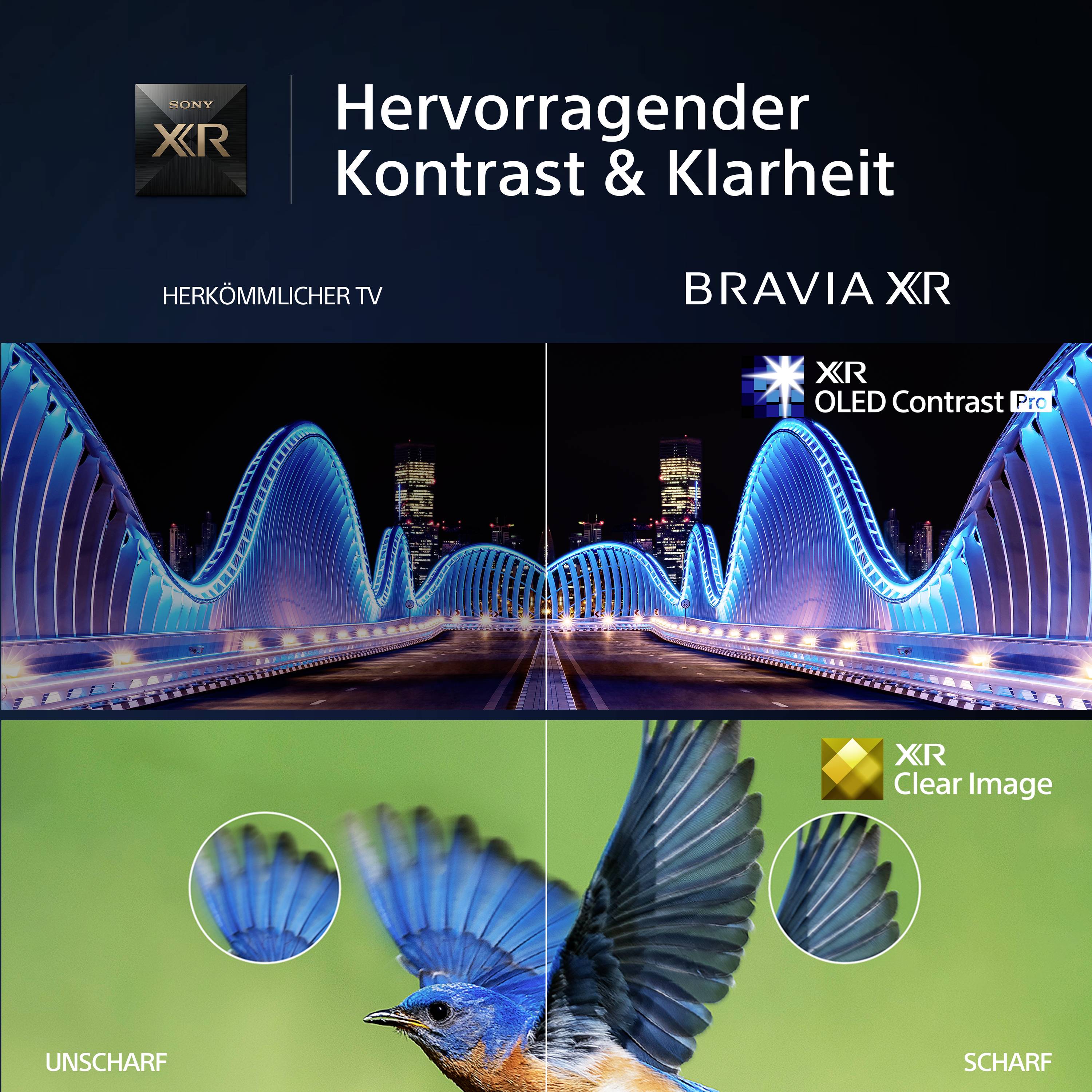 Zwei Bilder eines Vogels und einer Brücke vergleichen herkömmliche und klare Bildqualität. Text: 'Hervorragender Kontrast & Klarheit'.