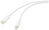 Renkforce USB-Kabel USB 2.0 USB-C® Stecker, Apple Lightning Stecker 2.00 m Weiß (frosted) RF-5724080