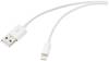 Renkforce USB-Kabel USB 2.0 USB-A Stecker, Apple Lightning Stecker 1.00 m Weiß (frosted) RF-5724084