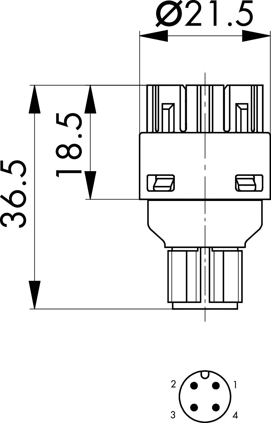 Technische Zeichnung eines runden Steckers mit Abmessungen: Durchmesser 21,5 mm, Höhe 36,5 mm, Anschlussdetails unten.