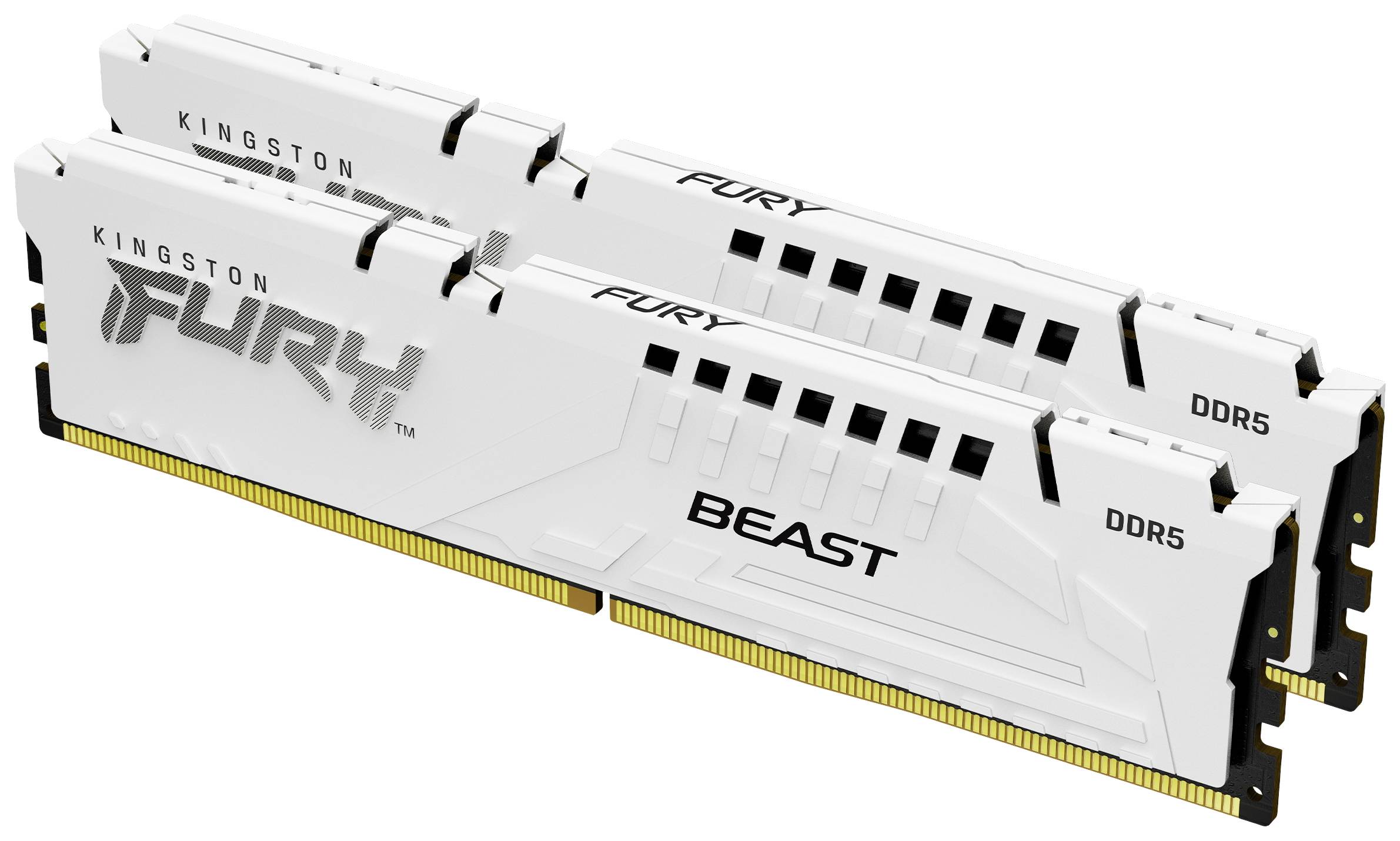 KINGSTON FURY Beast White 64GB Kit (2x32GB)