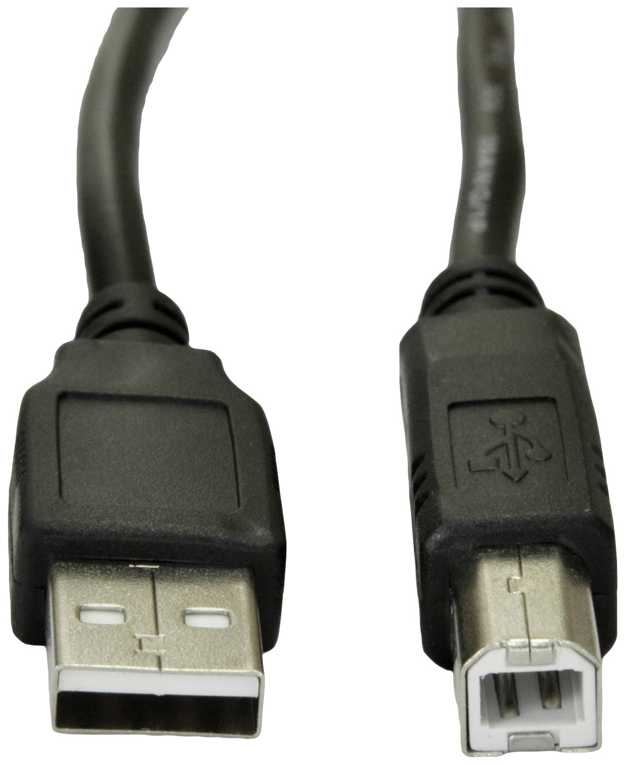 Ein USB-Kabel mit einem USB-A-Stecker links und einem USB-B-Stecker rechts für Computer- und Druckerverbindungen.