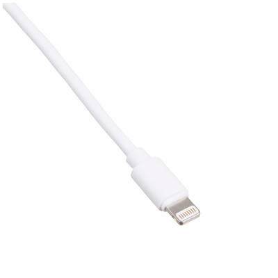 Ein weißes USB-Kabel mit Lightning-Stecker zur Verbindung und zum Laden von Geräten.