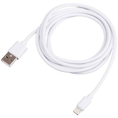 Ein weißes USB-Kabel mit einem USB-A-Stecker auf einer Seite und einem Lightning-Stecker auf der anderen.