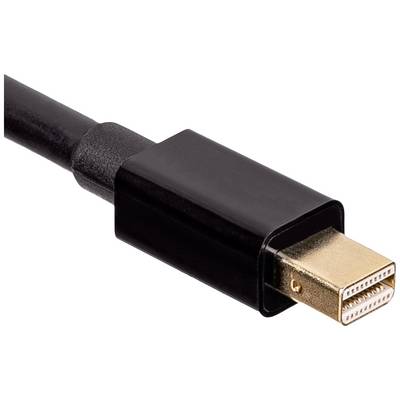 Schwarzes Kabel mit einem goldenen Mini DisplayPort-Stecker.