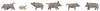 Faller N Wildschweine Bemalt, Stehend