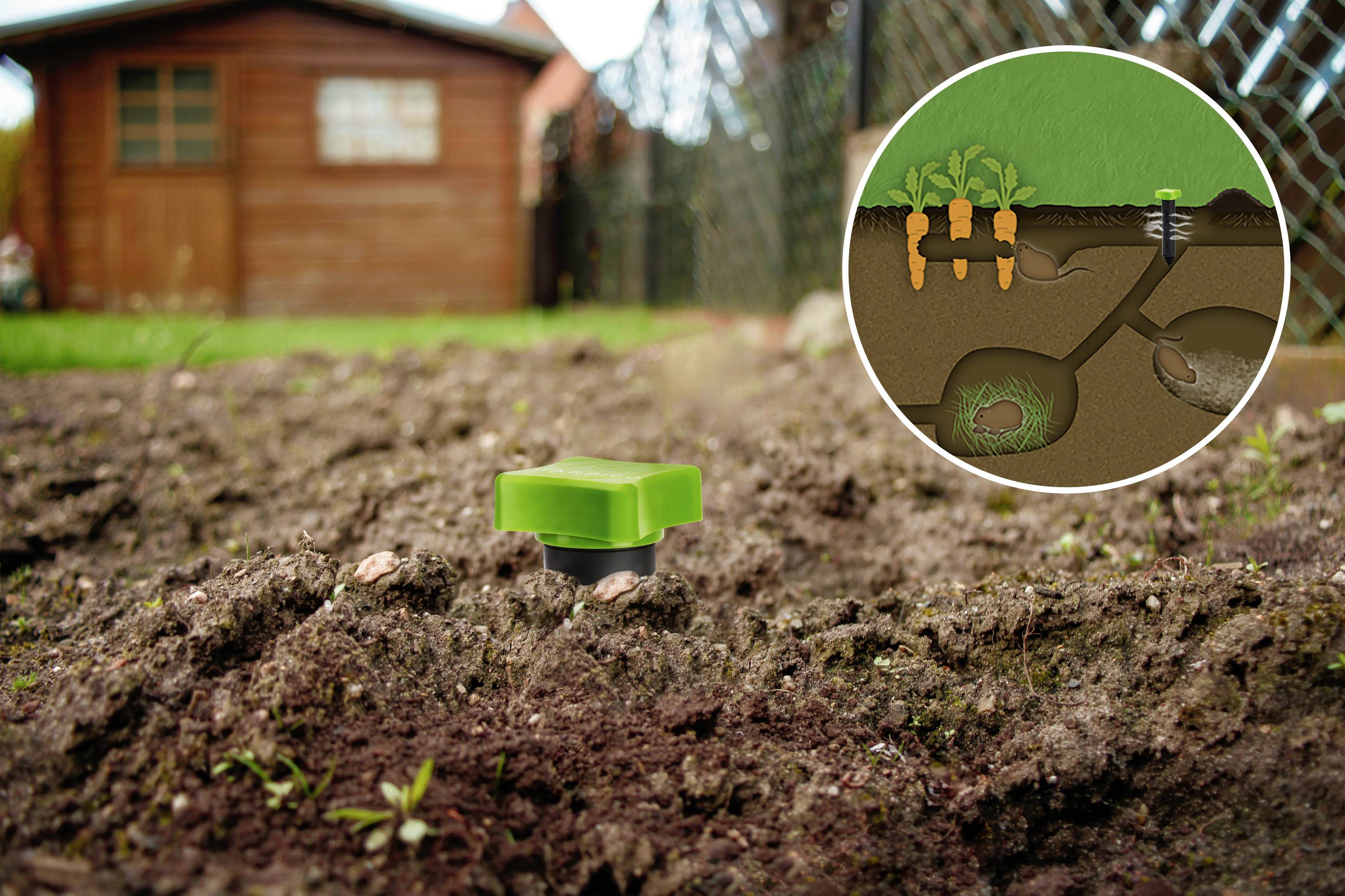 Garten mit feuchtem Boden, im Vordergrund ein grüner Bodenfeuchtigkeitssensor. Kleinbild zeigt Schema der Wasserverteilung zu Pflanzenwurzeln. Im Hintergrund eine Holzhütte.
