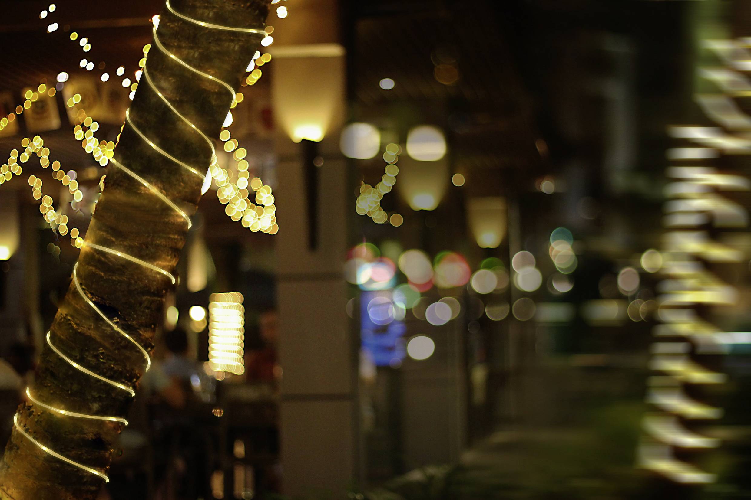 Ein Baum mit Lichterketten umwickelt in einem stimmungsvoll beleuchteten Außenbereich mit verschwommenen Lichtern im Hintergrund.