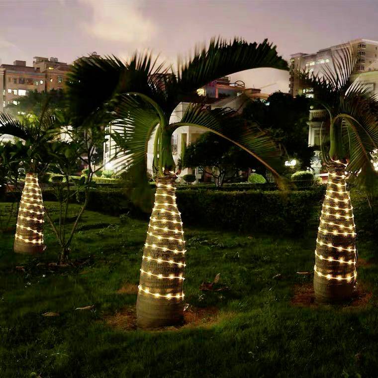 Mehrere Palmen mit weißen Lichterketten umwickelt stehen auf einem Rasen in einer städtischen Umgebung bei Abenddämmerung.