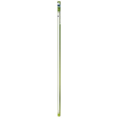 Philips LED-Röhre in grüner Verpackung, 1500 mm Länge, 24 W, 4000 K, ideal für Bürobeleuchtung, energiesparend und langlebig.
