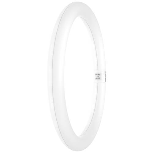 Thumbnail - OSRAM HOMELIGHTING LED-Röhre EEK: E (A - G) G10q Ringform 18.3 W = 32 W Kaltweiß (Ø x L) 300 mm x 300 mm 1 St.