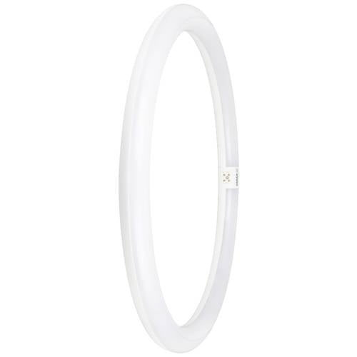 OSRAM HOMELIGHTING LED-Röhre EEK: E (A - G) G10q Ringform 24 W = 40 W Neutralweiß (Ø x L) 400 mm x 400 mm 1 St.