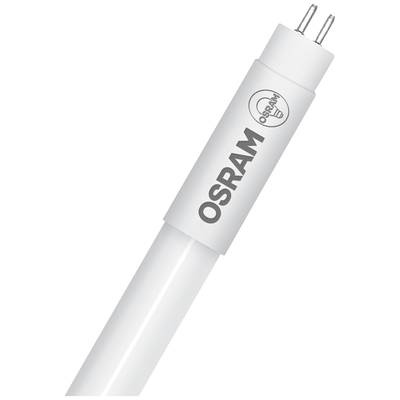 Eine weiße LED-Röhrenlampe mit der Aufschrift 'OSRAM' und zwei silbernen Stiften an einem Ende.