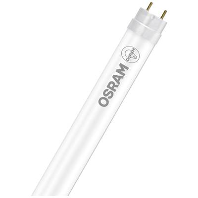 Eine weiße Leuchtstoffröhre mit der Aufschrift 'OSRAM' und einem Markensymbol, zeigt elektrische Kontakte an einem Ende.